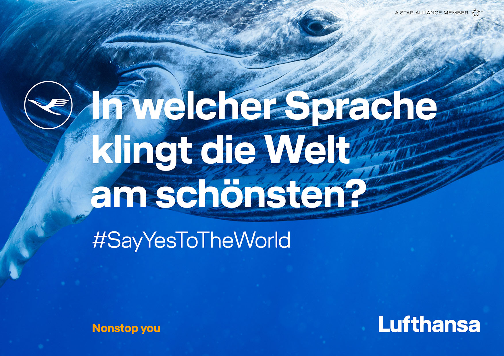 Lufthansa Lufthansa